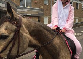 Jade and horse