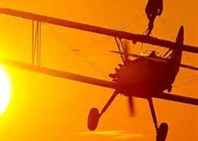 Wing Walker