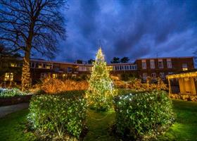 Lights in the garden