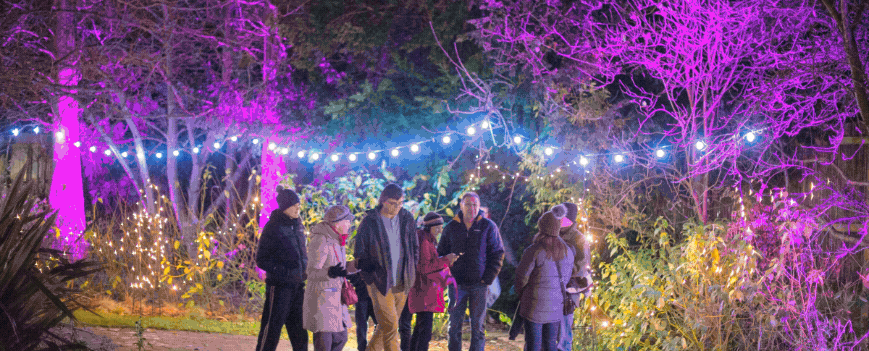 Festival of Light 2025