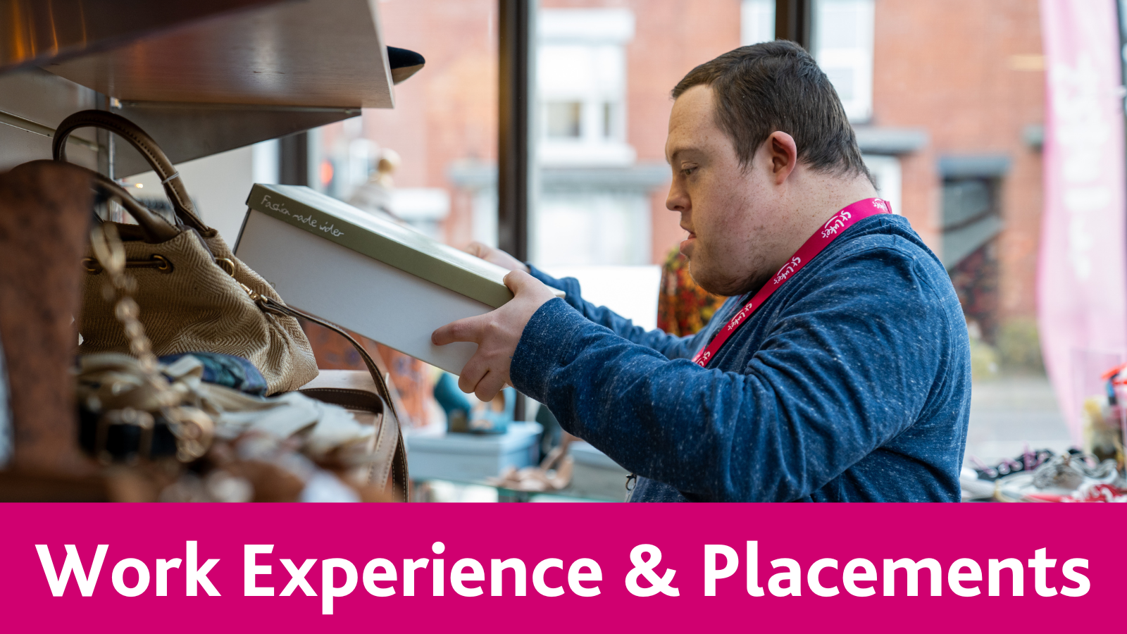Work Experience & Placements
