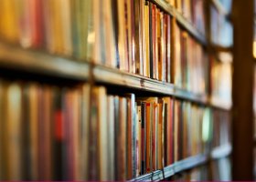 Archive Stories Experience Volunteer